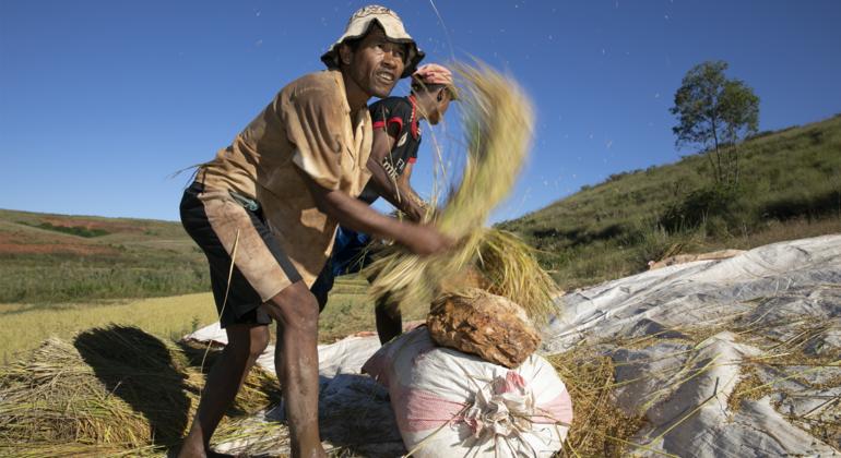 Understanding UN News: Global Perspective, Human Stories